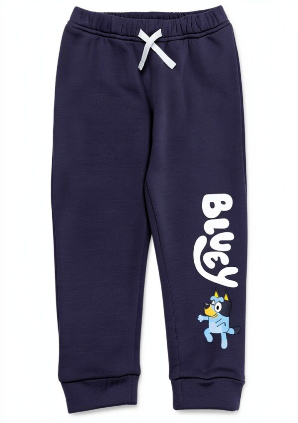 Bluey Boys Hooded Sweatshirt Set Soft Long Sleeve Graphic-3