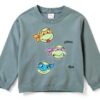 Teenage Mutant Ninja Turtles Boys Sweatshirt Pants Set Green-3
